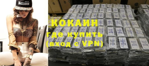 a pvp Бородино