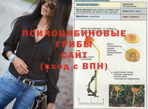 MDMA Верхний Тагил